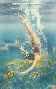 Postcard Silver Springs FL Diving Woman Lady Fish Bathing Beauty Linen A234 - Picture 1 of 2
