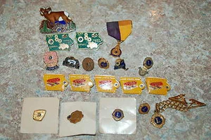 Set of 20 LIONS CLUB pins dating back to 1967 - Picture 1 of 4