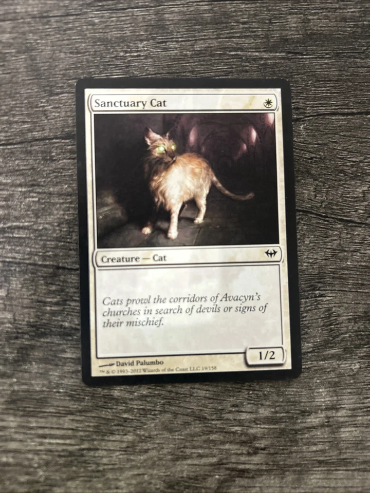 Magic The Gathering 1x Sanctuary Cat x1 LP Dark Ascension Foto 1 de 1