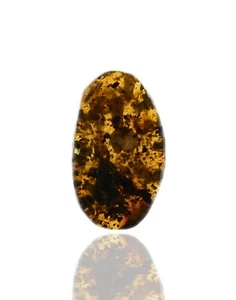 Rare Gastropoda (Land Snail), Fossil insect inclusion in Burmese Amber - Picture 1 of 2