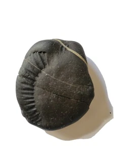 Shaligram Stone (ammonite) - Picture 1 of 7