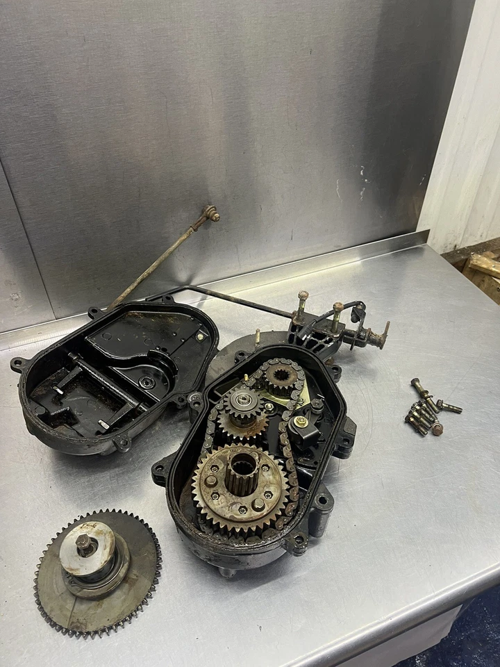 95 94 93 Arctic Cat Ext Pantera Panther 550 440 Bearcat Estuche Cadena con Reverso Foto 1 de 4