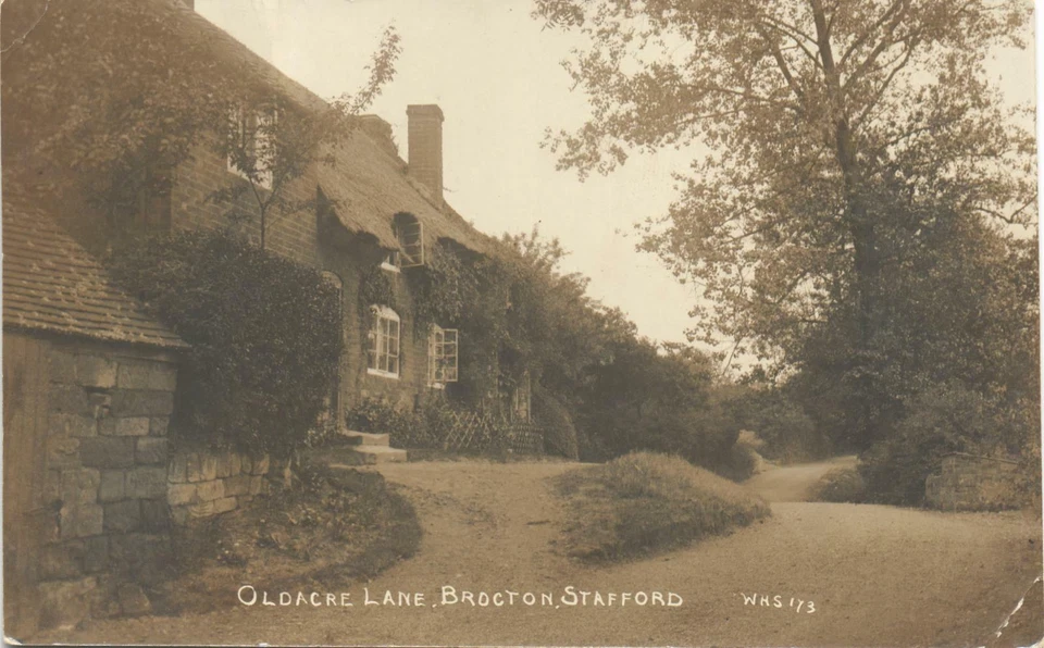 Brocton, Stafford. Oldacre Lane # 173 by WHS.  - Image 1 of 1