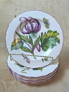 Mottahedeh Hans Sloans Gemälde auf Chelsea botanisches Porzellan 8,5" Teller x 4 - Bild 1 von 6