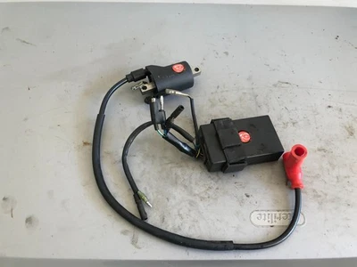 96-02 UNIDAD DE ENCENDIDO BOBINA ECU CHINA EXPERT HONDA CR80RB CAJA NEGRA ECM CDI 053 Foto 1 de 4