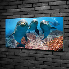 Tulup Acrylic Glass Print Wall Art Image 100x50cm - dolphins