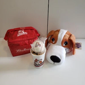 Aiken Foxhounds Baseball Fan Kit Independent South Coast Minor League - RAR - Bild 1 von 15