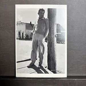 Cartolina nuova 4,25x6" James Dean (foto non reale) - Foto 1 di 2
