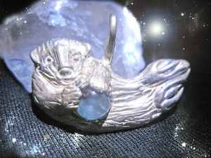Otter Halskette Meister Natur Schlüssel Geschenke HÖHERE Gelehrte Magie Coven of Cassia4 - Bild 1 von 2