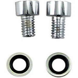 Chrome Front Fork Drain Screws for Harley Davidson Dyna & FXR (1995-2005) - Picture 1 of 1