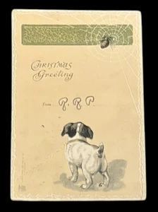 1906 Christmas Greeting Postcard-Puppy-Spider Web-Lace Border - Picture 1 of 3