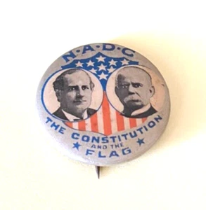 NADC La Constitución y la Bandera Bryan Stevenson Jugate Campaña Botón 1900 - Imagen 1 de 9