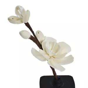 Palos difusores difusores de fragancia de ratán flor seca aroma de ciruela bossom fragancias caseras - Imagen 1 de 7