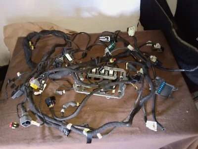 Arnés eléctrico MV Agusta F4 1000 S R 2010 cableado 8000B3707 Foto 1 de 4