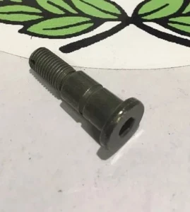 Rear Brake Pivot Bolt M10 Orion Apollo Rx 50 , 125 , 250 Leaner Legal Pit Bikes - Picture 1 of 8