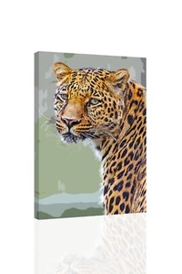 Leopardenportrait - LEINWAND ODER WANDBILD - Bild 1 von 2