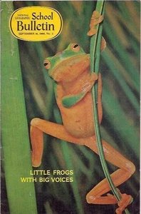 national geographic-SCHOOL BULLETIN-sept 16,1968-LITTLE FROGS WITH BIG VOICES. - Picture 1 of 2