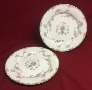 Noritake 5924 Windsor 8 1/4" Salatteller Set (2) - Bild 1 von 3