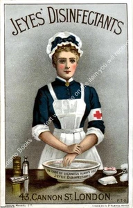 PRINT : JEYES DISINFECTANTS. A MODERN COLOUR REPRINT OF AN ORIGINAL ADVERTISEMEN - Picture 1 of 1