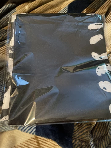 All Elite Crate Exclusive The Briscoe Brothers Dem Boys Flag 24x36 AEW ROH Cover