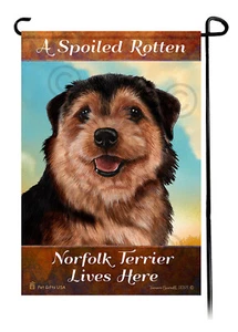 A Spoiled Rotten Black and Tan Norfolk Terrier Lives Here - Imagen 1 de 1