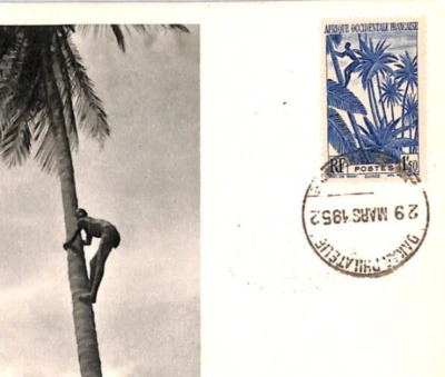France Cols FRENCH GUINEA AOF *ADVERT* Postcard MAXI CARD Dakar TREE 1952 PH114 - Image 1 of 4