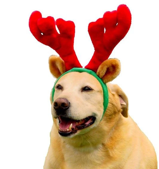 Kyjen Dog Antlers Holiday Christmas Red Green Pet Xmas Reindeer Outward Hound