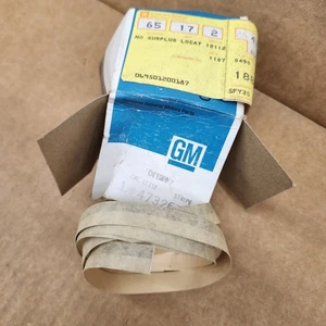 Door Accent Stripe Decal LH or RH Silver 25th Anniversary 1978 C3 Corvette NEW - Picture 1 of 5