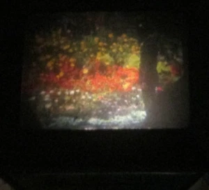 WWII US Military 8mm Home Movie Original Color Soldiers Point Defiance Boat Trip - Foto 1 di 16