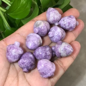 10 piezas Natural Púrpura mica bellota cuarzo calavera Reiki gemas curativas - Imagen 1 de 12