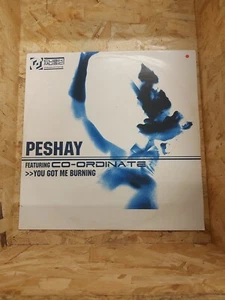 Peshay Ft Co-ordinate You Got Me Burning 12" Vinyl - Picture 1 of 6