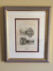Framed and Matted 213 year old Copper Plate Engraving of Sting Rays 