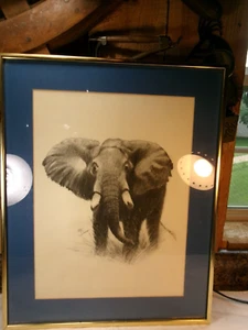 Vintage Peter Darro Signed Elephant Drawing - Picture 1 of 5