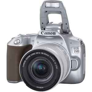 Canon EOS 250d Kit 18-55 Is Stm Silver