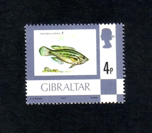 Gibraltar 1977 Grey Wrasse fish single value (SG 379) MNH - Picture 1 of 2