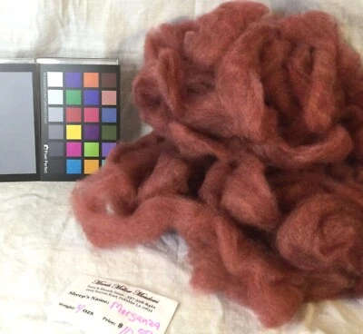Romney variegated antique rose wool roving spinning weaving felting fiber arts - Image 1 of 2