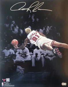 Signed  16x20 DENNIS RODMAN Chicago Bulls Autographed Photo w/Beckett Hologram - Picture 1 of 1