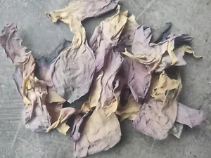 ARK PURE HERB blauer Lotus/Nymphaea Nouchali Blütenblätter handgefertigt natürlich organisch - Bild 1 von 1