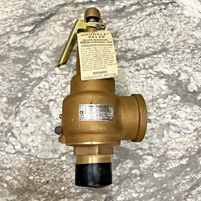 Kunkle Valve 6010HGM01-AM-125 Safety Relief Valve 1-1/2 In X 2 In 125PSI - Image 1 of 4