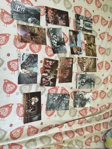 Lote De Colección De 15 Postales De Wisconsin Dells Sin Usar - Imagen 1 de 7