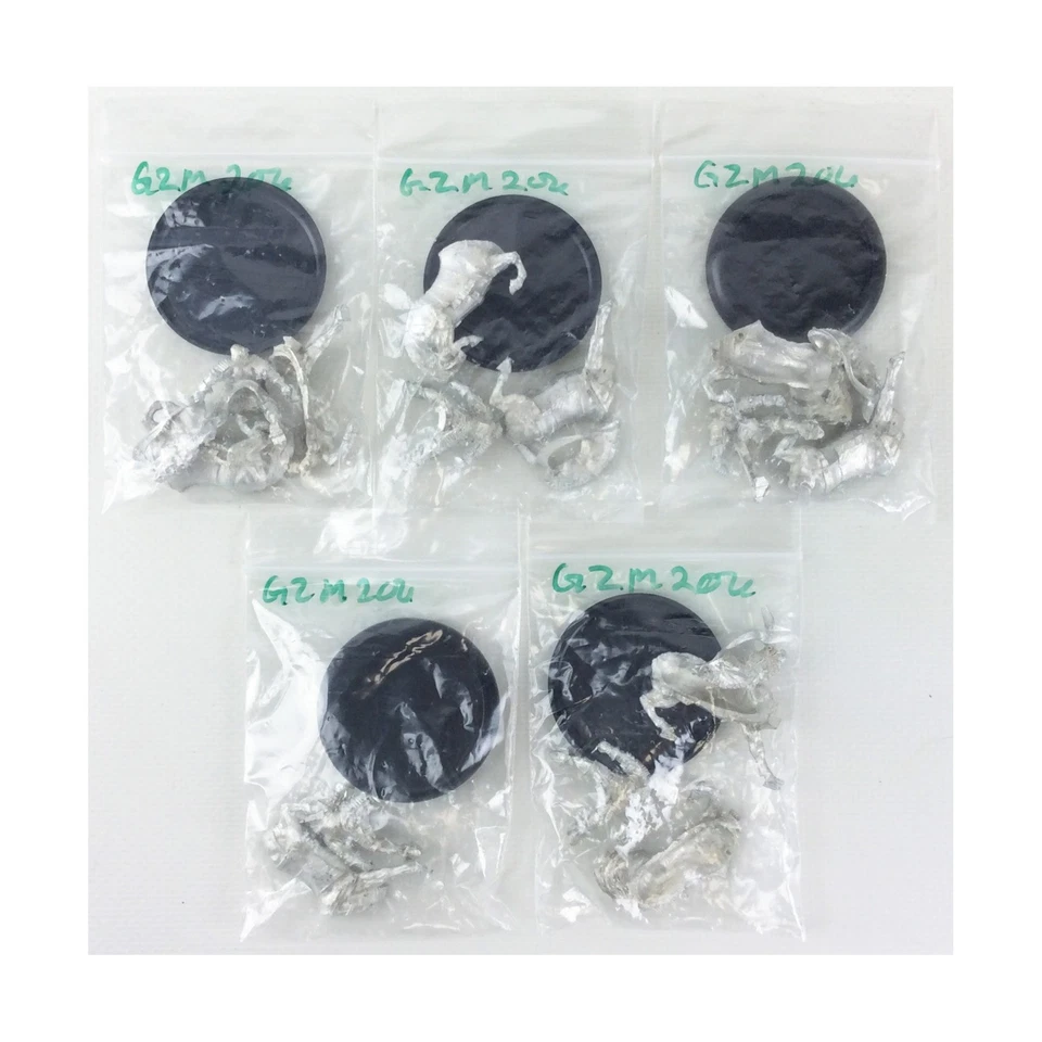 Gamezone Fantasy Mini 28mm Gloria Invicta (5 Pack) Pack New - Image 1 of 1