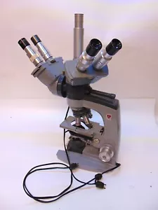 AO Spencer Doppelkopfmikroskop mit Okularen & 5 Objektiven S4588x - Bild 1 von 12