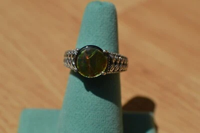 Anillo Ammolita Canadiense ~ 10mm Ammolita ~ Platino sobre Plata Fina Talla 6 Foto 1 de 4