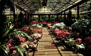 Postcard Longwood Gardens near Wilmington, Delaware - Imagen 1 de 2