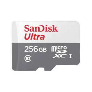 Sandisk SDSQUNR-256G-GN3MN 256GB ULTRA LITE WHITE/GRAY - Picture 1 of 1