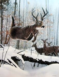 Buck and Doe Deer Print by Bob Travers 22 x 28