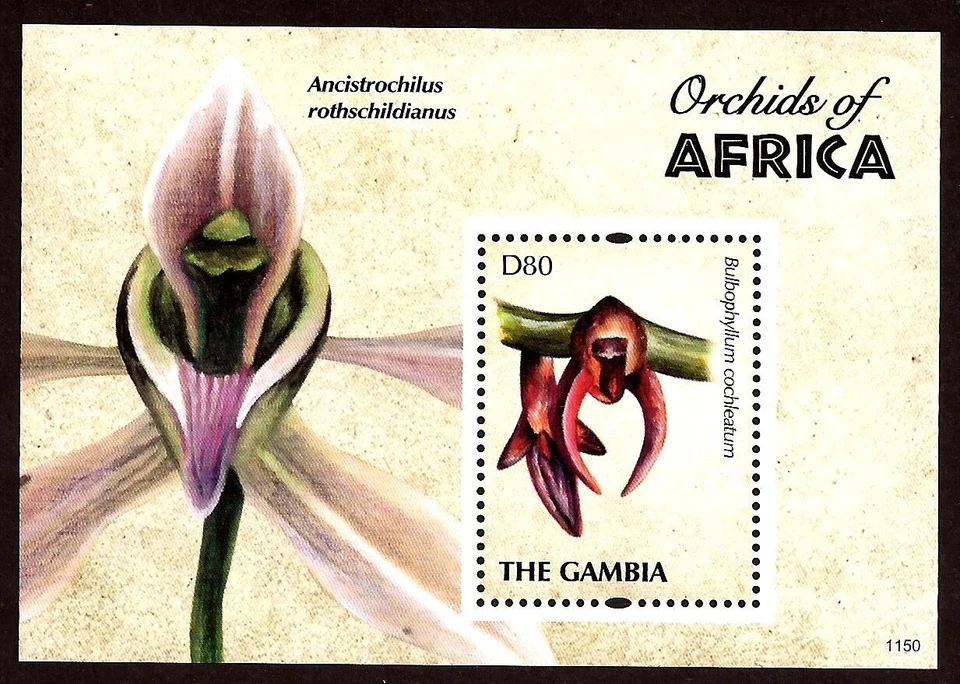 [1746] Gambia 2011, Bloque MNH** Flores, Orquídeas, Flora Vida Silvestre Foto 1 de 1