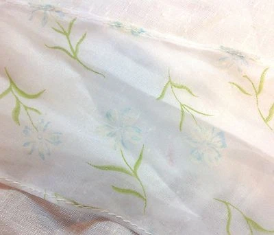 Blanco Transparente con Borde de Diseño Floral Azul 4 pulgadas de ancho 2 yardas Foto 1 de 2