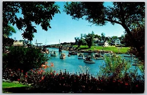 Postcard Maine Coast Picturesque Sheltered Harbor ME - Foto 1 di 2