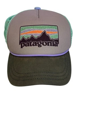 Gorra de colección Patagonia Snapback Trucker espuma gris y verde azulado malla Foto 1 de 4